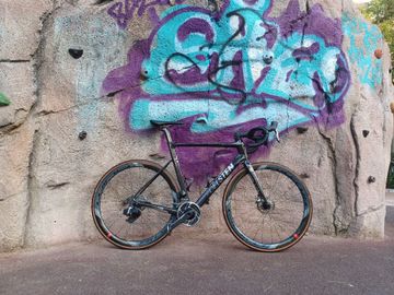 Brugt Edelsten Concord 2023 Road & Gravel