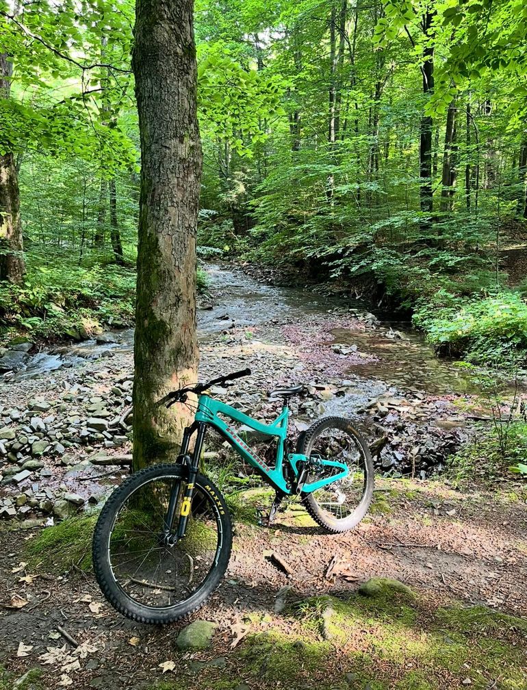 Brugt Propain Tyee AM CF 27.5 Start 2019 2019 Mountainbike — billede 3 af 3