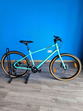 Kona, Dew Green 2022