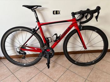Carrera, Veleno Ts