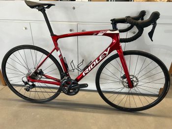Ridley, Fenix Disc - Shimano Ultegra 2x11sp 2023