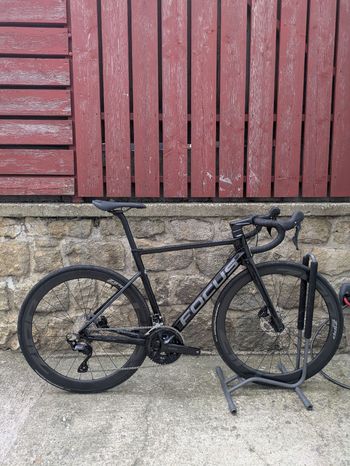 Focus, IZALCO MAX 8.8 2022