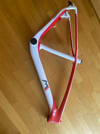 Used M1 Sedan Frameset 2021 MTB