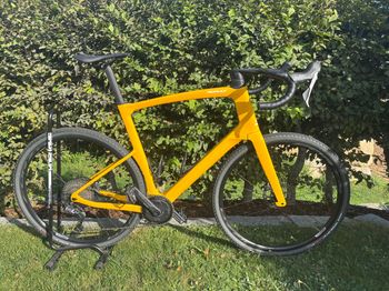 Ridley, Fast