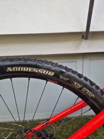 Gebrauchtes Mondraker Foxy 29 2019 2019 Mountainbike, Rot, 29 — Bild 18 von 18