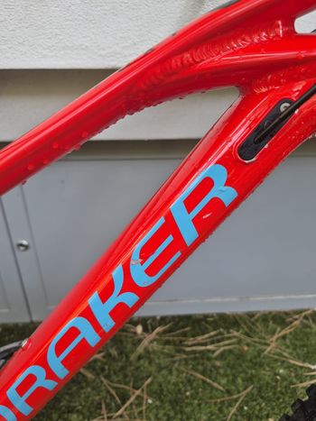Gebrauchtes Mondraker Foxy 29 2019 2019 Mountainbike, Rot, 29 — Bild 15 von 18