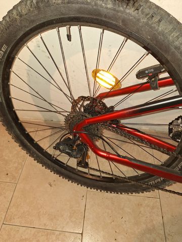 Used Olympia Master 630 2022 Mountainbike, Red, 29 — image 3 of 10