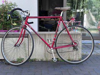 Used Koga Road Winner 1984 Road & Gravel — image 2 of 14
