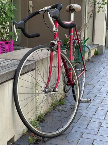 Used Koga Road Winner 1984 Road & Gravel — image 4 of 14