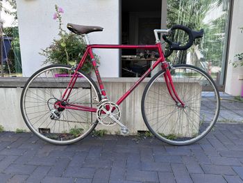 Used Koga Road Winner 1984 Racefiets & gravel