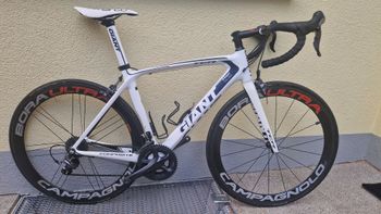 Giant Contend 1 2022 2022