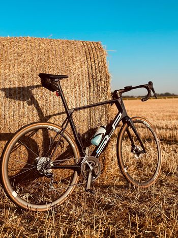 Superior, X-road Shimano Ultegra