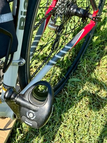 Used Bianchi Via Nironi Ali Carbon 2008 Road & Gravel — image 9 of 10