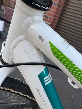 Used BULLS Nandi 26 2020 2020 Mountainbike, White, 26 — image 3 of 6