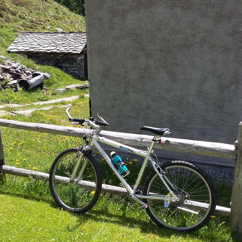 Used Giant Boulder Alu 2002 Mountainbike, Light Gray, 29 — image 2 of 3