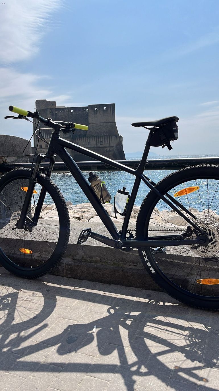 Bergamont Revox 2024 2024