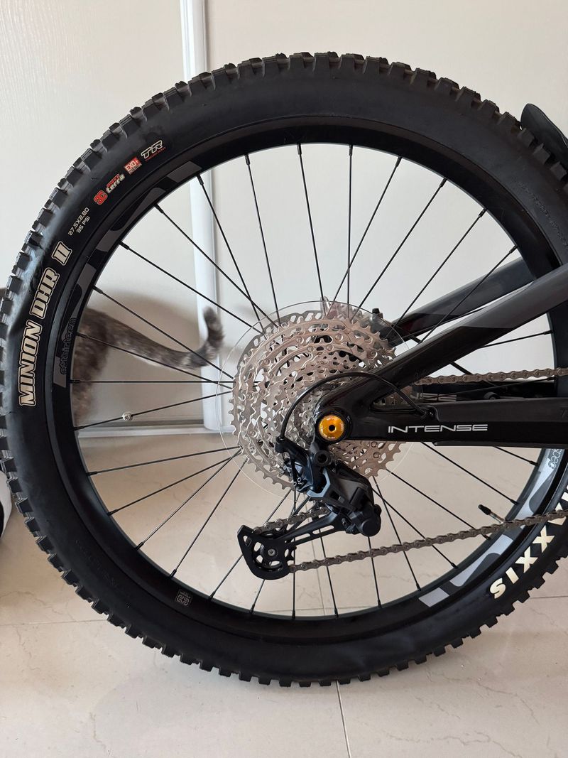 Intense TAZER S 2023 2023 Mountainbike de segunda mano, Gris claro — imagen 68 de 73