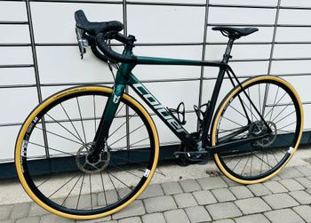 Coluer, Coluer Invicta Disc 6.3 2023