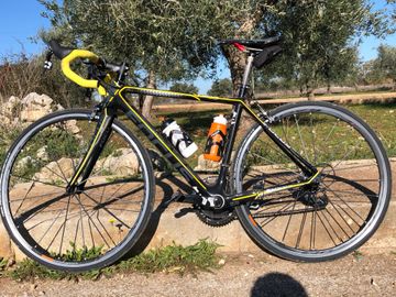 Used Focus Cayo Evo 2016 Road & Gravel