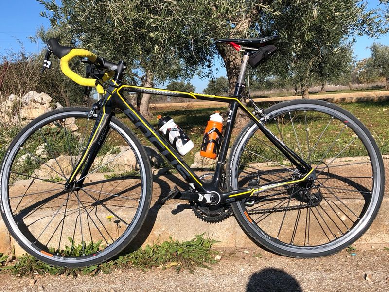 Gebrauchtes Focus Cayo Evo 2016 Road & Gravel