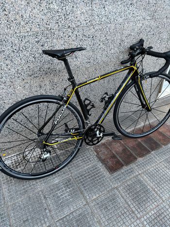 Used Focus Focus Cayo Evo 2016 Road & Gravel — image 2 of 7