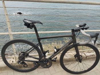 Specialized, S-Works Tarmac SL6 Disc - Dura Ace Di2 2019