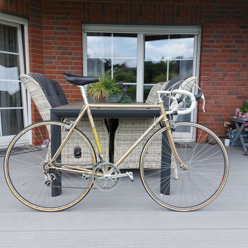 Raleigh Professional 753 Reynolds 1983 Road & Gravel d'occasion