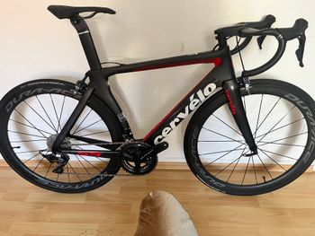 Cannondale Cannondale Synapse Disc Full Carbon/Size 54/Shimano 105