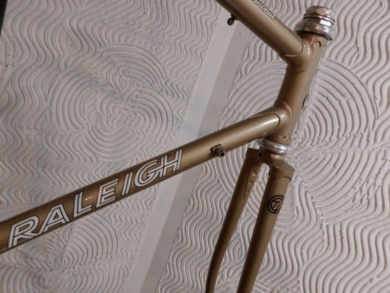 Tweedehands Raleigh Professional 753 Rexnolds Frameset 1984 Road & Gravel