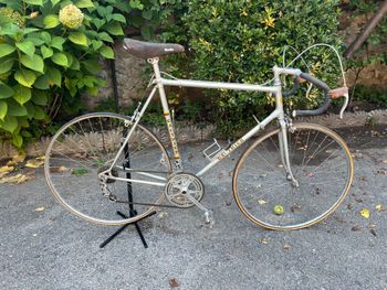Alan, Gauthier Vintage