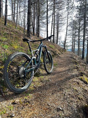 Orbea, RALLON M20 2023