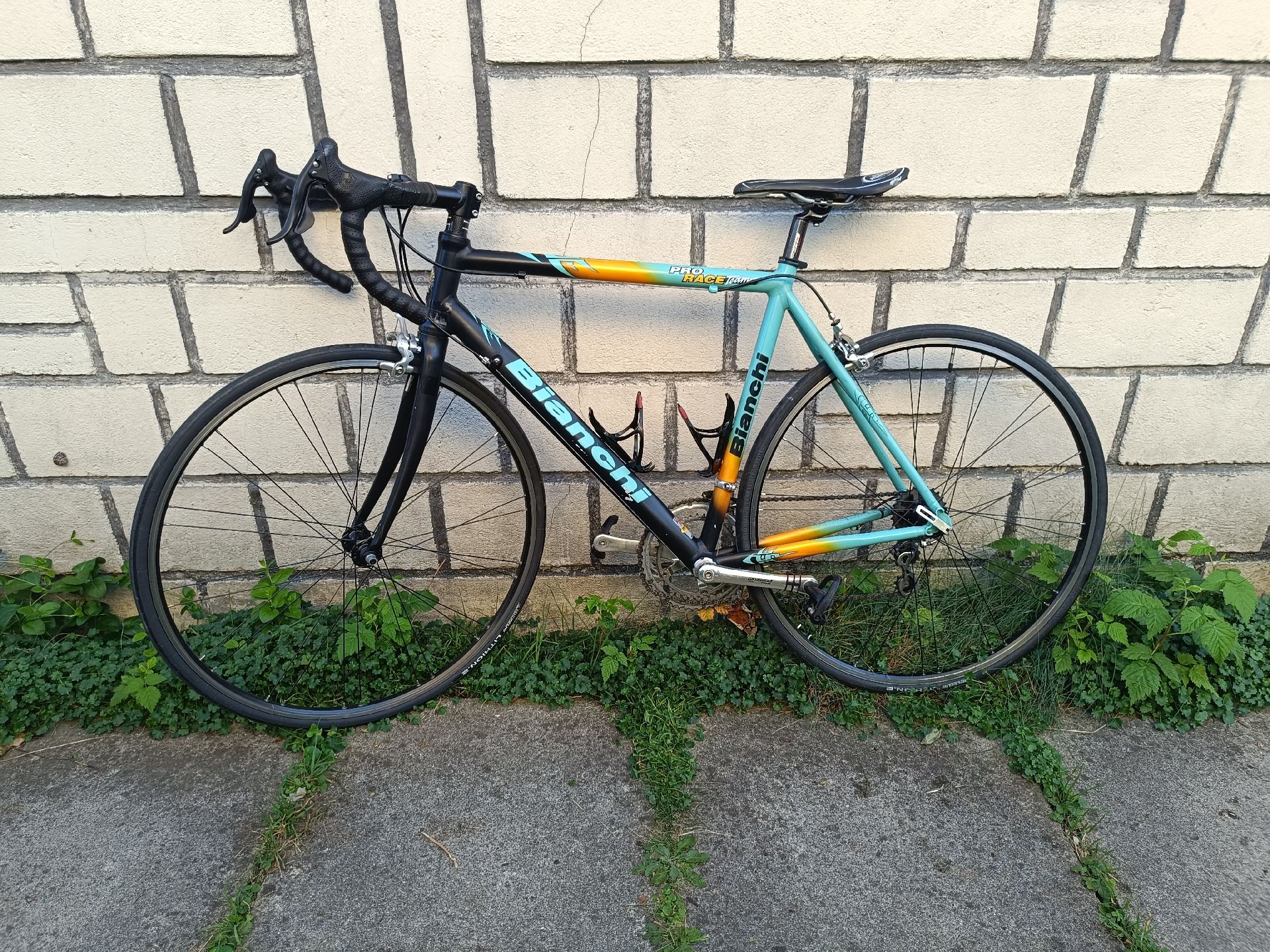 Bianchi Pro Race Team 2008 2008