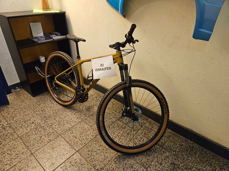 Used CUBE REACTION TM 2024 2024 Mountainbike, Orange, 29, 20 — image 1 of 7