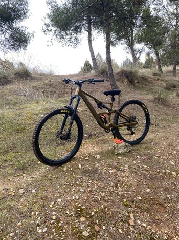 Used Orbea OCCAM H20 LT 2024 Mountainbike — image 3 of 10