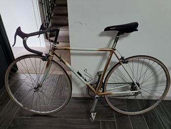Brugt Veneto Bici Da Corsa 1986 Road & Gravel — billede 2 af 5