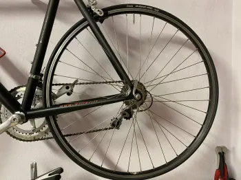 Used Wilier Escape 2006 Road & Gravel, Black — image 7 of 8