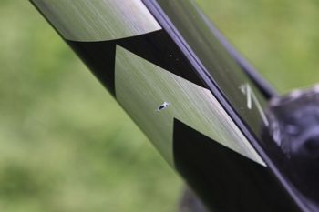 Used Trek Émonda SL 7 Disc eTap 2021 2021 Road & Gravel, Black — image 18 of 20