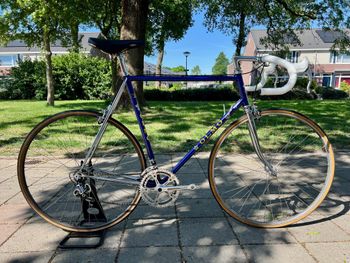 Olmo, Olmo Competition