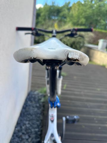 Used Lapierre Tecnic 700 2011 Mountainbike, White — image 9 of 15