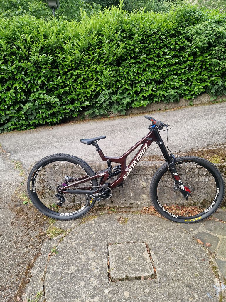 Santa Cruz V 10 2022