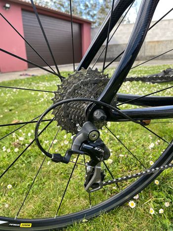 Used Pinarello Pinarello Dogma 60.1 2014 Road & Gravel, Black — image 8 of 10