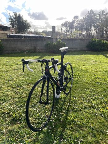 Used Pinarello Pinarello Dogma 60.1 2014 Road & Gravel, Black — image 6 of 10