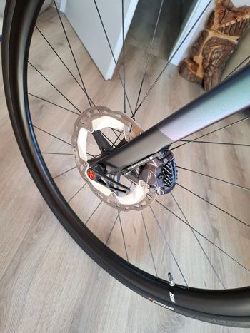 Used Rose Reveal Plus Ultegra Di2 2024 2024 Road & Gravel — image 6 of 14