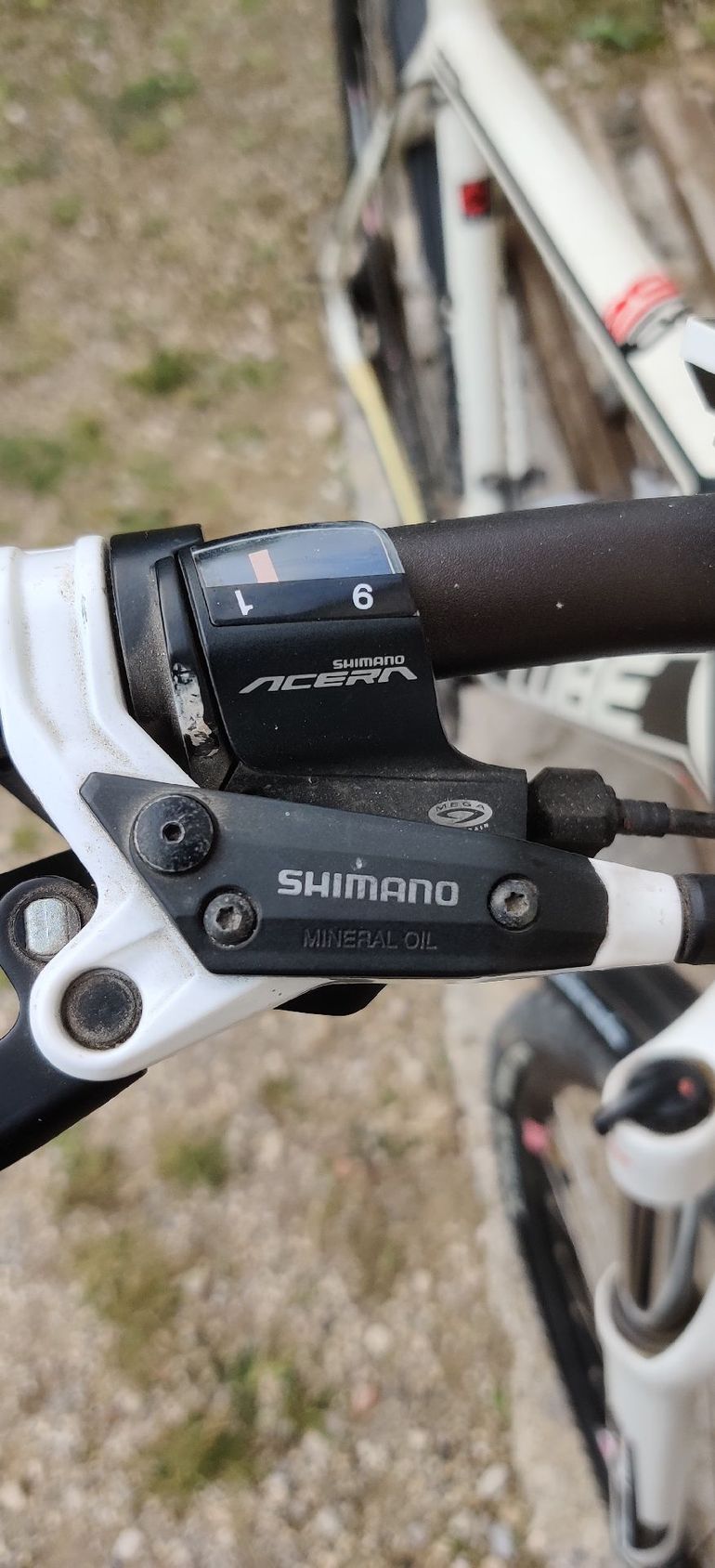 CUBE Analog 29 2015 2015