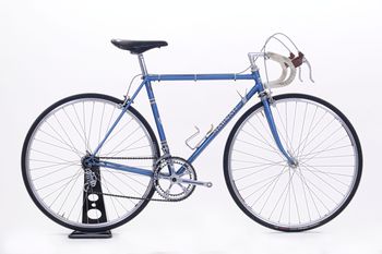 Daccordi Marnati Vintage 1973