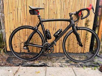 PINARELLO FP QUATTRO自転車 PINARELLO FP QUATTRO