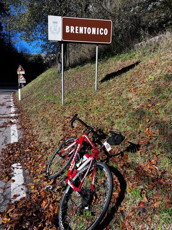 Used Bianchi Impulso Campagnolo Chorus 2012 Road & Gravel, Red — image 2 of 3