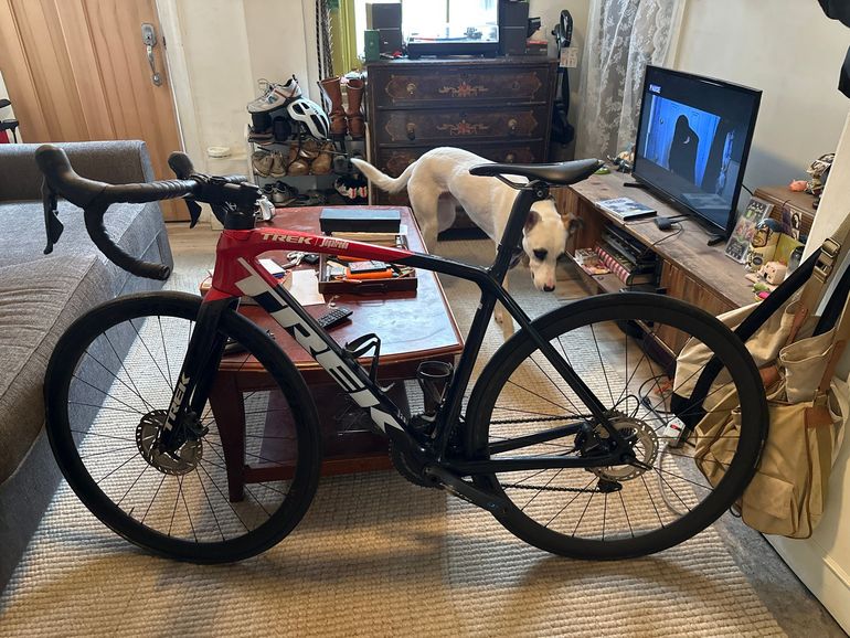 Émonda SLR 7　56サイズ　Shimano Ultegra Di2 Émonda SLR 7 - Trek Bikes (BR)