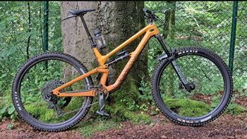 Canyon Torque 27.5 CF 7 2022 2022 MTB usato