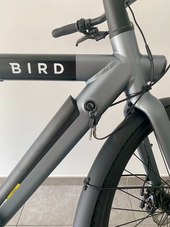 Used Bird A Frame 2024 Road & Gravel — image 5 of 7